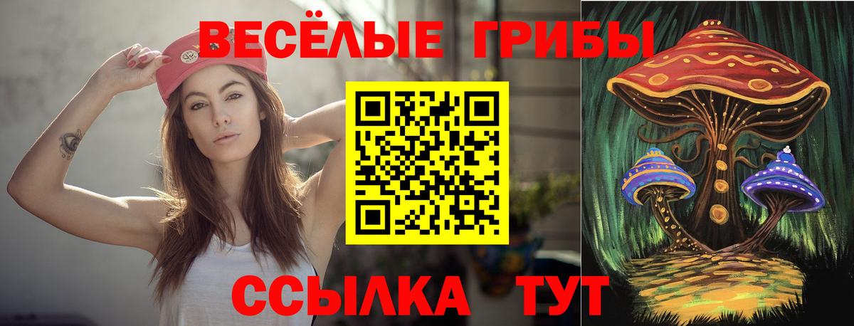 Псилоцибиновые грибы GOLDEN TEACHER Саранск